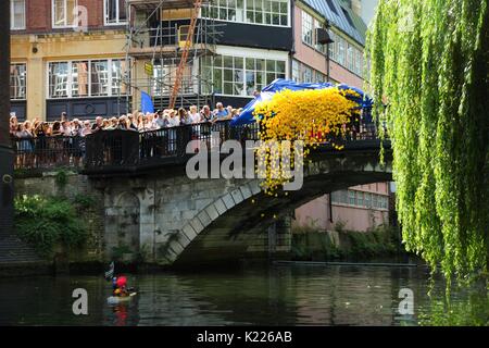 Briser la charité Grand course de canards de Norwich, # GNDR17, sortie de 3 000 canards à la St George's Bridge, août 2017. Photo par Katy Jon est allé Banque D'Images