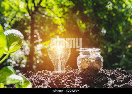 Ampoule à économie d'énergie et de l'arboriculture sur des piles de pièces de monnaie sur la nature. Banque D'Images