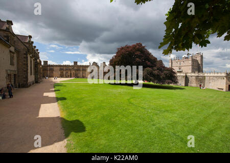 La grande cour du château de Bolsover, dans le Derbyshire, avec ses quatre cents ans (cuivre ou pourpre) Beech tree. Banque D'Images