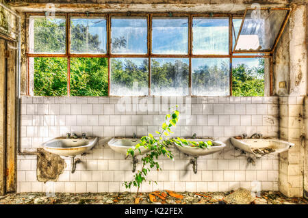 Les puits délabrés dans les toilettes d'un asile abandonné Banque D'Images