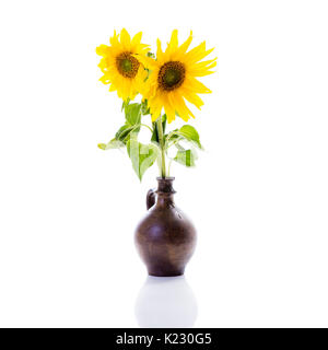 Tournesols (Helianthus annuus) isolés sur fond blanc, composition florale studio dans un vase Banque D'Images