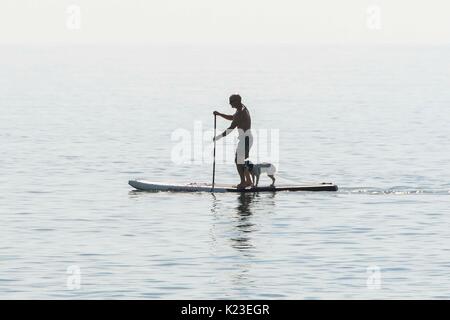 Burton Bradstock, Dorset, UK. 28 août 2017. Météo britannique. Un paddleboarder avec un chien, sur l'eau à la plage de ruche à Burton Bradstock dans Dorset sur un bain de soleil d'août vacances de banque. Crédit photo : Graham Hunt/Alamy Live News Banque D'Images