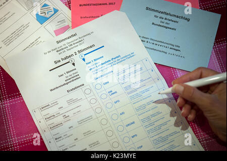 Dresde, Allemagne. Août 29, 2017. ILLUSTRATION - Documents pour le vote par correspondance pour les élections du parlement fédéral allemand (Bundestag) se trouvent sur une table à Dresde, Allemagne, 29 août 2017. Ci-dessous le titre "lecture timmzettel fuer die Wahl zum 19. Deutschen Bundestag' (lit. "Vote pour l'élection de la 19e législature du Bundestag allemand'), la note 'Sie haben 2 Stimmen" (lit. 'Vous avez 2 votes") peut être vu. Photo : Arno Burgi/dpa-Zentralbild/dpa/Alamy Live News Banque D'Images