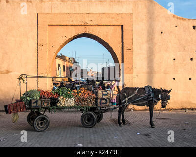 MARRAKECH, MAROC - 21 JANVIER 2014 : chariot tiré par un âne avec chargement de légumes par une porte dans les murs de la ville Banque D'Images