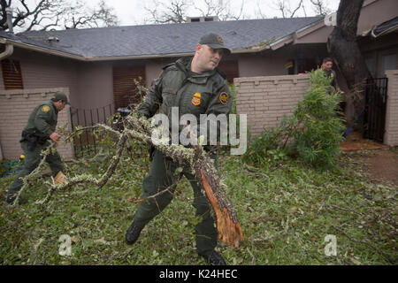 Agents de patrouille frontalière États-Unis travailler sur le retrait d'un arbre tombé comme ils enlever les débris des maisons suite à l'ouragan Harvey le 28 août 2016, à Gatineau, au Texas. Rockport minuscule a été presque détruit par l'ouragan Harvey tel qu'il est venu à terre comme une tempête de catégorie 4 avec des vents de 130 mph. Banque D'Images