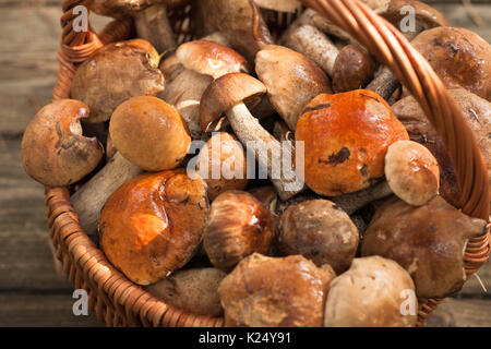 Le Guide des champignons Les champignons comestibles des forêts dans panier en osier sur la vieille Table en bois Close Up. La récolte des champignons. Focus sélectif. Banque D'Images