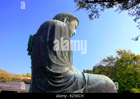 Le Grand Bouddha de Kamakura à Kotokuin Temple à Kamakura Kanagawa Japon ville Banque D'Images