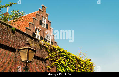 Pays-bas Leiden Nieuwsteeg traditionnel néerlandais une maison avec un toit avec fond de ciel bleu et un mur recouvert de vignes avec une rue Banque D'Images