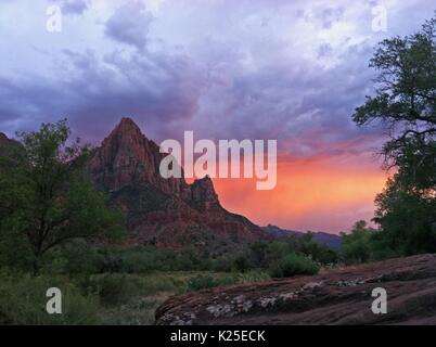 Une tempête coucher de soleil sur le rocher de gardien au contrefort Zion National Park le 29 août 2012 près de Springdale, en Utah. Banque D'Images