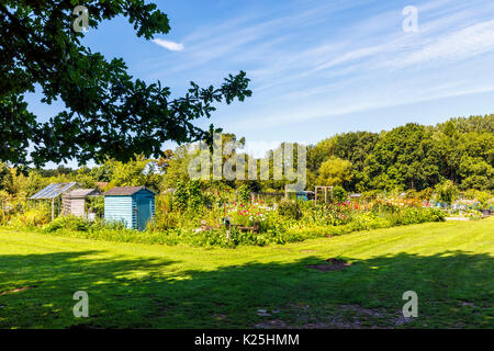 Abris de jardin en bois et les émissions sur les allocations à Compton, un village près de Guildford, Surrey, au sud-est de l'Angleterre Banque D'Images