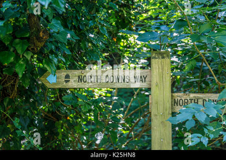 Fingerpost en bois signe pour les North Downs Way à Compton, un village près de Guildford, Surrey, au sud-est de l'Angleterre, Royaume-Uni Banque D'Images