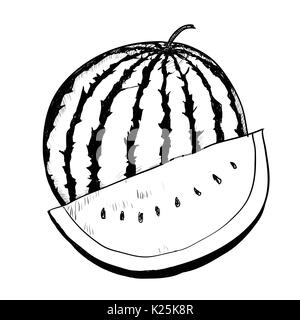 Dessin à la main de melon sur fond blanc. Le noir et blanc simple ligne Vector Illustration pour livre de coloriage - Ligne dessinée Vector Illustration de Vecteur