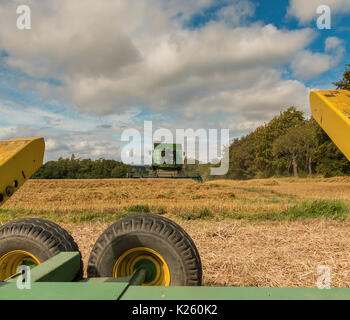 Royaume-uni l'agriculture, la récolte de blé de semence à Wycliffe, Teesdale Banque D'Images