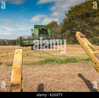 Royaume-uni l'agriculture, la récolte de blé de semence à Wycliffe, Teesdale Banque D'Images