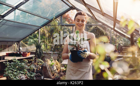 Femme transportant jardinier cactus dans la serre. Travailleur féminin travaillant au centre de jardin. Banque D'Images