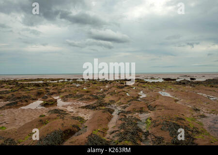 Grand littoral britannique, représentant la belle côte jurassique près de Devon Sidmouth sur jour d'été orageux, Ft. Grand Piquet, l'homme de Dieu et louche les roches. Banque D'Images