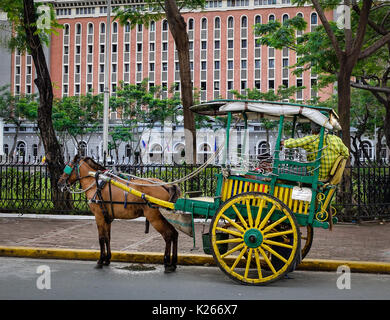 Cheval avec transport dans Intramuros, Manille, Philippines. Intramuros est le quartier le plus ancien et historique de Manille, capitale des Philippines. Banque D'Images