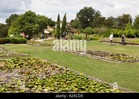 Les jardins aquatiques de Latour Marliac, le Temple sur Lot, Lot et Garonne, Aquitaine, France Banque D'Images