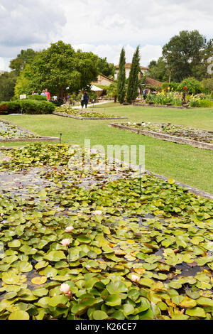 Les jardins aquatiques de Latour Marliac, le Temple sur Lot, Lot et Garonne, Aquitaine, France Banque D'Images