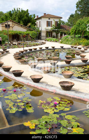 Les jardins aquatiques de Latour Marliac, le Temple sur Lot, Lot et Garonne, Aquitaine, France Banque D'Images