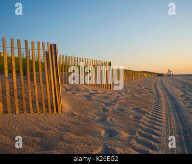 Beach dunes Banque D'Images