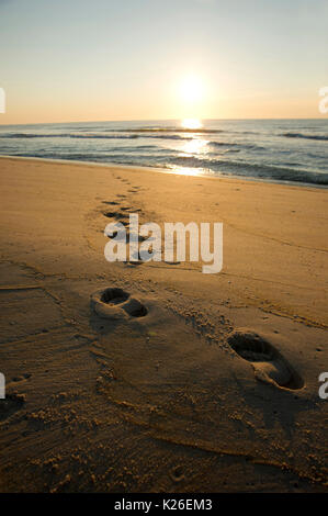 Lever du soleil sur la plage Banque D'Images