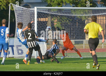 Moscou, Russie - le 21 juillet 2014 : Match Dynamo, Moscou - PAOK, la Grèce au cours de la Lev Yashin VTB Cup, le tournoi international U21 pour les équipes de soccer. Banque D'Images