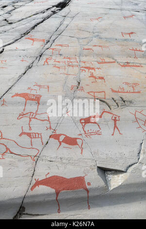 Rock, sculptures, Alta, Hjemmeluft, Finnmark, Norvège, Norvège, historique, ancienne, sculpté, l'unesco, Banque D'Images