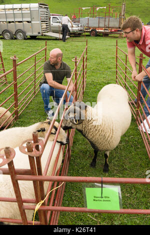 Les agriculteurs et leurs moutons prix concurrence sur le chien de berger de la vallée des 12 essais cliniques dans le Nord du Pays de Galles 12 Glyn Banque D'Images