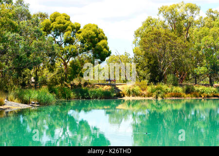 Cadre naturel idyllique piscine australienne avec grand étang entouré d'eucalyptus australiens et les broussailles touffues. Banque D'Images