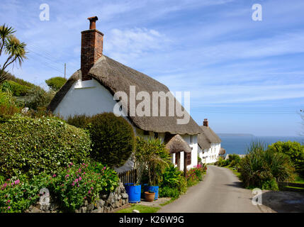 Maisons de chaume traditionnels, Landewednack, lézard, Péninsule du Lézard, Cornwall, Angleterre, Royaume-Uni Banque D'Images