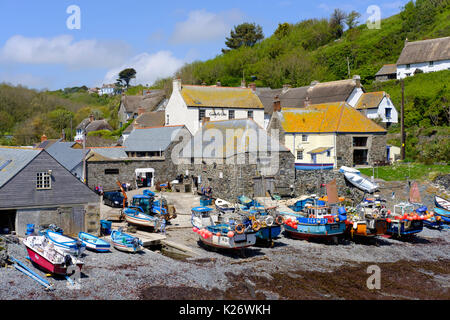 Port de pêche, Cadgwith, Péninsule du Lézard, Cornwall, Angleterre, Royaume-Uni Banque D'Images