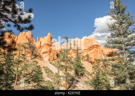 Vue depuis le sentier en boucle Navajo à Bryce Canyon National Park, UT Banque D'Images