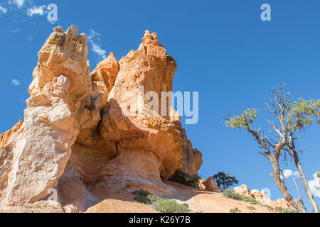 Vue depuis le sentier en boucle Navajo à Bryce Canyon National Park, UT Banque D'Images