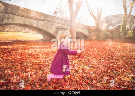 Petite blonde fille courir joyeusement avec un tas de feuilles colorées dans ses mains, pour profiter de la beauté de l'automne, sous le soleil de novembre. Banque D'Images