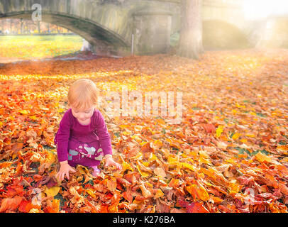 Happy little girl profitant de la tombée des feuilles colorées, de les saisir, sous le chaud soleil d'automne. Banque D'Images