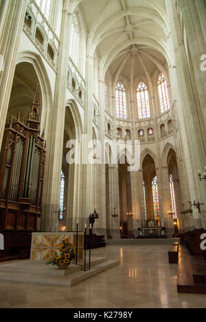 Saint Pierre et Saint Paul, La Cathédrale Vue de l'intérieur, Nantes, Pays de la Loire, France Banque D'Images