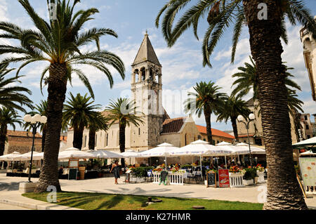 Palmiers et st. Dominic église dans la vieille ville de Trogir, Croatie Banque D'Images