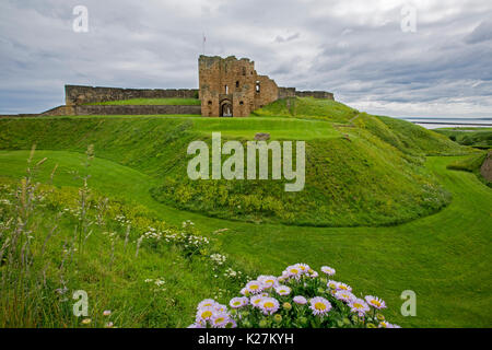 Ruines imposantes de Tynemouth castle historique sur le vert émeraude colline herbeuse au-dessus de douves sèches avec fleurs en premier plan, en Angleterre Banque D'Images