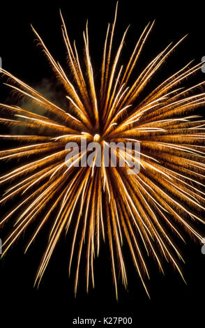 Une antenne d'artifice explose avec une douche de traînées plumeux créé par la poudre dans un dispositif pyrotechnique qui a été tourné dans un ciel sombre c'est l'arrière-plan de cette esthétique. Banque D'Images