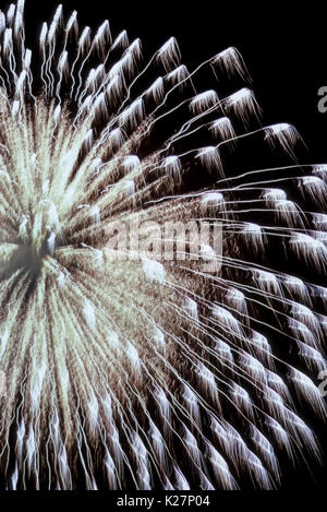 Une antenne d'artifice explose avec une douche de traînées plumeux créé par la poudre dans un dispositif pyrotechnique qui a été tourné dans un ciel sombre c'est l'arrière-plan de cette esthétique. Banque D'Images