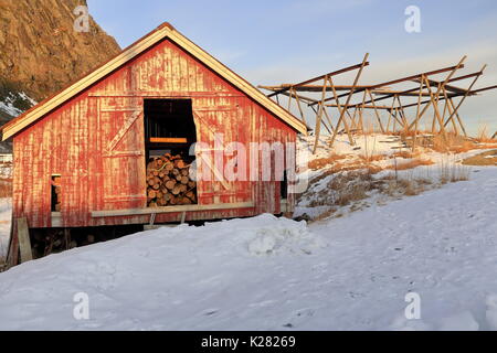 Old Red rorbu en ruine et ébréchée-maintenant utilisé pour connecter l'entreposage. Rack vide pour le séchage d'échafaudage de skrei cod-stockfish sur le sol couvert de neige par t Banque D'Images