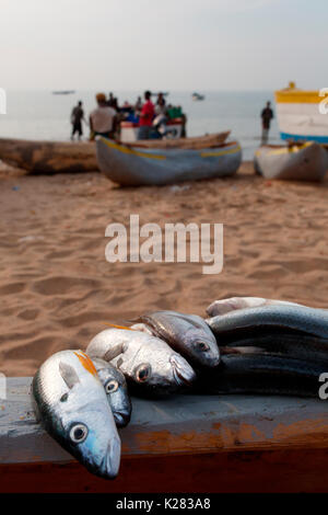 Afrique,Malawi,Salima district. Le marché du poisson au lac Malawi Banque D'Images