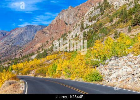Les feuilles de l'automne coloré à côté de route menant au canyon Lundy dans l'Est de la Sierra Nevada en Californie Banque D'Images