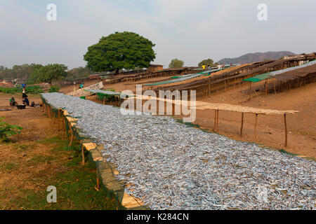 Afrique,Malawi,Salima district. Le marché du poisson au lac Malawi Banque D'Images