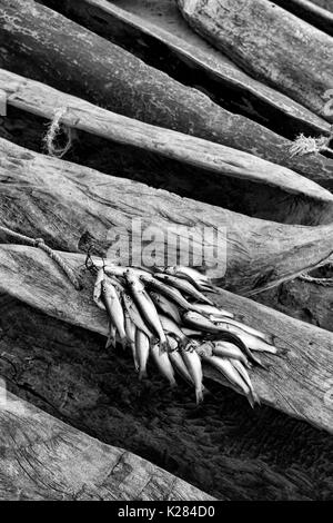 Afrique,Malawi,Salima district. Le marché du poisson au lac Malawi Banque D'Images