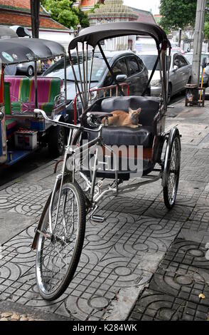 Taxi à trois roues célèbre en Thaïlande - moto tuk tuk. Machine à moteur GNC. Un chat roux est assis dans l'un tuktuk. Banque D'Images