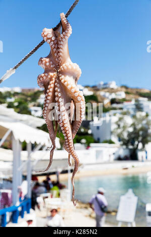 Octopus accroché à sécher au soleil, Mykonos, Grèce. Banque D'Images