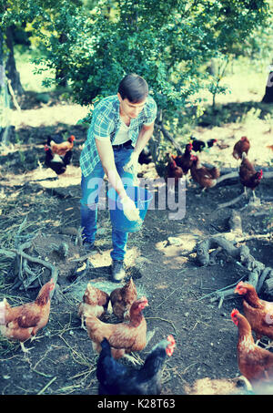 Homme heureux agriculteur donnant les aliments pour animaux de ferme sur des poulets en plein air Banque D'Images