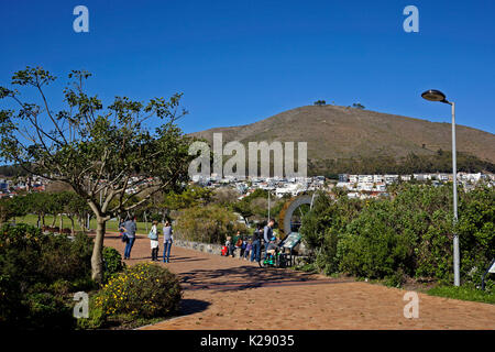 Le Point Vert Parc Urbain & Jardin de la biodiversité, Le Cap, Afrique du Sud. Banque D'Images